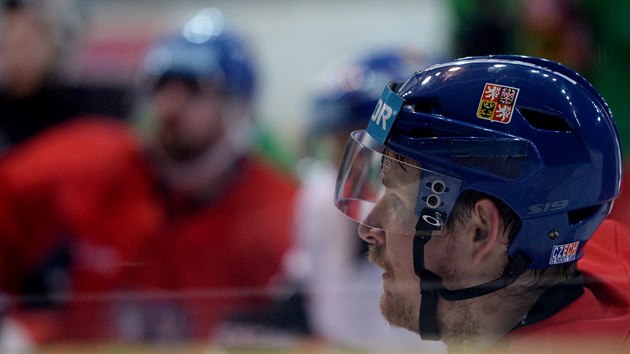 Roman ervenka na trninku esk hokejov reprezentace v st nad Labem.