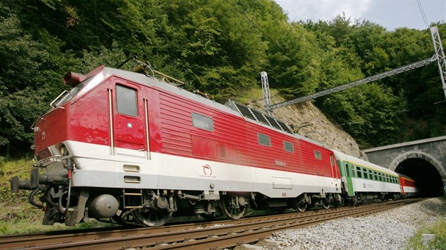 Jedny z nejstarch lokomotiv na esk eleznici v osobn doprav, ada 350. Po rozdlen federace pely lokomotivy s pezdvkou Gorila (pro velk vkon 4000 kW) nebo Krysa (dky edmu ntru prototypu) do majetku slovenskho dopravce ZSSK, do eska ale bn zajd na mezinrodnch spojch ze Slovenska.  Prvn dv lokomotivy byly vyrobeny v roce 1974 a krtce na to byly nasazeny na prestin expresn vkony mezi Prahou a Bratislavou, dlouhou dobu byla tsystmov lokomotiva i dritelem eskho rychlostnho rekordu. Ve sv dob to byly jedny z nejvkonnjch dvousystmovch lokomotiv na svt. Pedchzely tak dodvce vysoko vkonnch a velmi rychlch lokomotiv (8 000 kW, 200 km/h) pro sovtsk eleznice pro tra Leningrad (dnes Petrohrad) - Moskva.  V 90. letech stly tak u zavdn rychlosti 160 km/h na naich tratch. Dnes jsou z tchto vkon vytlaovny modernjmi lokomotivami ady 380 eskch drah. O nkolik let mlad je ada 150 pro stejnosmrn napt, kter je v majetku eskch drah a tah rychlky a expresy mezi Prahou a Ostravou.  Tyto lokomotivy maj pezdvku Bann.