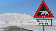 Známá dopravní znaka Pozor na lední medvdy platí pro celé picberky.