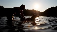 Vztah Čechů ke psům je v mnoha ohledech unikátní, přibližuje seriál iDNES.cz. Vztah Čechů ke psům je v mnoha ohledech unikátní, přibližuje seriál iDNES.cz.