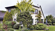 Nejnižší rostliny jsou uvnitř zahrady, nejvyšší po obvodě. Zahradě to poskytuje... Nejnižší rostliny jsou uvnitř zahrady, nejvyšší po obvodě. Zahradě to poskytuje...