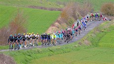 Cyklistický peloton na závodě Kolem Baskicka. Cyklistický peloton na závodě Kolem Baskicka.