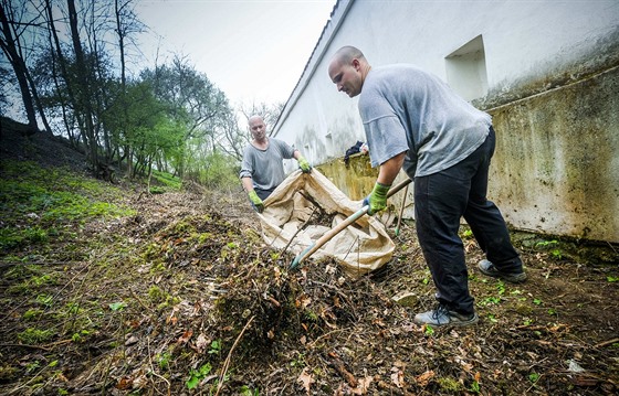 Vzni pi uklízecích pracích na zámku v Pardubicích.