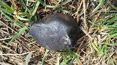 tvrtý meteorit o hmotnosti 42,4 gramu, nalezený 26. bezna 2016 na severním...