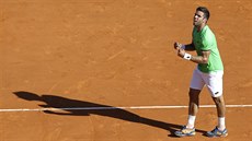 Jiří Veselý se raduje. Z turnaje v Monte Carlu vyřadil Novaka Djokoviče. Jiří Veselý se raduje. Z turnaje v Monte Carlu vyřadil Novaka Djokoviče.