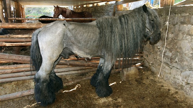 zprávy