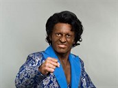 Petr Vondrek jako James Brown