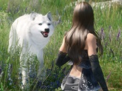 The Elder Scrolls V: Skyrim s modifikacemi The Elder Scrolls V: Skyrim s modifikacemi