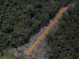 Tba zlata v amazonském pralese