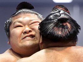 V japonském Tokiu se v pondlí konal kadoroní slavnostní turnaj v sumo...