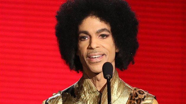 Zpvk Prince (Los Angeles, 22. listopadu 2015)