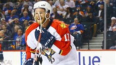 JE TAM. Trefu do sít NY Islanders si uívá útoník Floridy Jonathan Huberdeau.