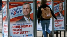 Kandidát pravicově populistické Svobodné strany Rakouska (FPÖ) Norbert Hofer. Kandidát pravicově populistické Svobodné strany Rakouska (FPÖ) Norbert Hofer.
