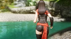 Skyrim s řadou modifikací Skyrim s řadou modifikací
