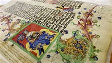V úvodu každého privilegia v Gelnhausenově kodexu se nachází miniatura... V úvodu každého privilegia v Gelnhausenově kodexu se nachází miniatura...