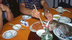 Asijská kuchyně nesdílí evropské konvence, jedí se tu i opice, krysy či psi. Asijská kuchyně nesdílí evropské konvence, jedí se tu i opice, krysy či psi.