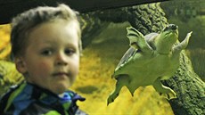 Po téměř půlroční odstávce zase v ostravské zoo začalo fungovat obří akvárium,... Po téměř půlroční odstávce zase v ostravské zoo začalo fungovat obří akvárium,...