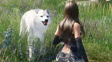 The Elder Scrolls V: Skyrim s modifikacemi The Elder Scrolls V: Skyrim s modifikacemi