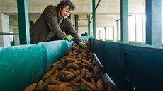 Semenářský závod Lesů ČR v Týništi nad Orlicí zajišťuje semena stromů pro celou... Semenářský závod Lesů ČR v Týništi nad Orlicí zajišťuje semena stromů pro celou...
