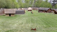 Archeopark v Chotbuzi u eského Tína, který provozuje Muzeum Tínska, se...