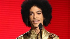 Zpvák Prince (Los Angeles, 22. listopadu 2015)