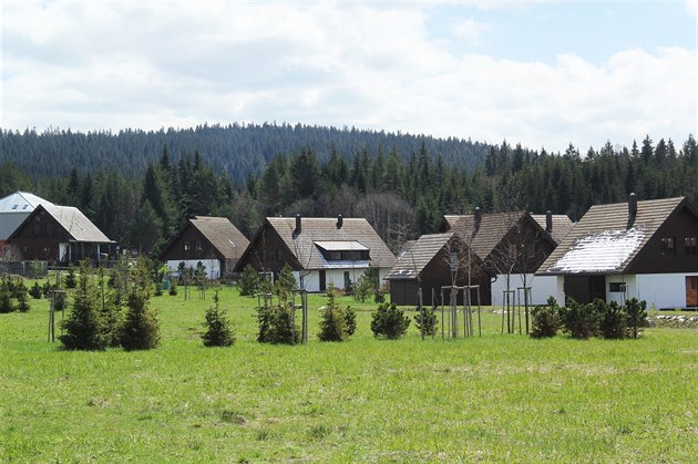 Apartmánové domy stojí na okraji Borových Lad. Jejich obyvatelé to mají kousek...