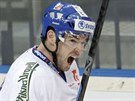 eský hokejista Michal Birner se raduje z gólu v zápase se védskem.
