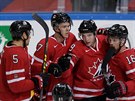 Gólová radost hokejist Kanady.
