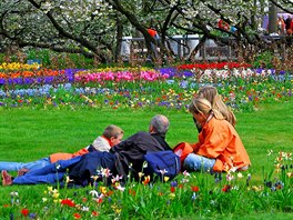 Keukenhof, to jsou miliony rostlin dmysln poskládané do pekrásných...