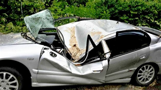 U luneckho parku v Brn spadl strom a rozmkl zaparkovan auto.