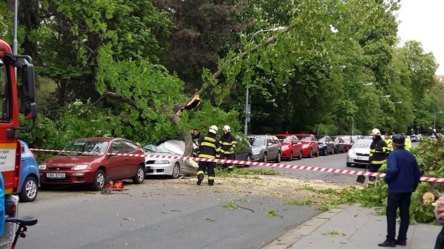 U luneckho parku v Brn spadl strom a rozmkl zaparkovan auto.