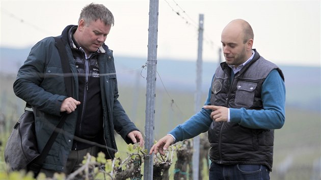 ejkovick vina Jakub amula ml pouhou hodinu a pl, aby odborn porot soute Vinastv roku pedstavil svj podnik. Dolo i na ochutnvku vna samotnho, ale porotci v onch 90 minutch pouvali spe denky a tuky.