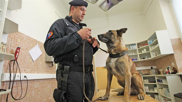 Policejn psovod Josef Kubek, se svm psem Adebayorem, kter byl bhem policejn mise v Makedonii utknut hadem. Vylili jej ve Vojenskm veterinrnm stavu v Hlun.
