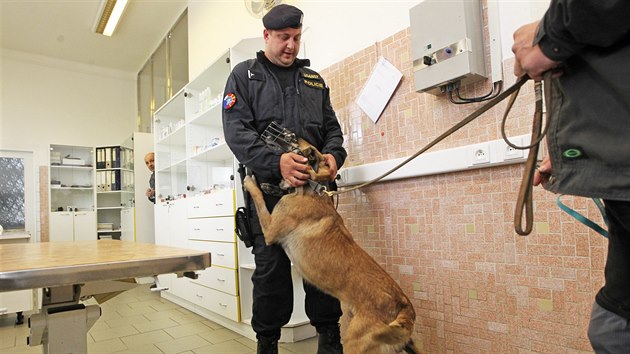 Policejn psovod Josef Kubek, se svm psem Adebayorem, kter byl bhem policejn mise v Makedonii utknut hadem. Vylili jej ve Vojenskm veterinrnm stavu v Hlun.