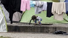 Uprchlický tábor na hraniním pechod Idomeni mezi eckem a Makedonií. (5....