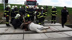 Hasiči vyprošťovali koně, kterému se na železničním přejezdu v Řeporyjích... Hasiči vyprošťovali koně, kterému se na železničním přejezdu v Řeporyjích...