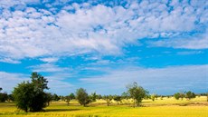 Altocumulus (česky vysoká kupa). Většinou má podobu valounů, vln nebo oblázků.... Altocumulus (česky vysoká kupa). Většinou má podobu valounů, vln nebo oblázků....