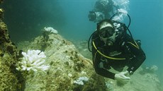 Seychely (23. dubna 2016) - Potápní s tvrci filmu Aldabra.