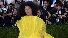 Solange Knowlesová na Met Gala (New York, 2. května 2016) Solange Knowlesová na Met Gala (New York, 2. května 2016)