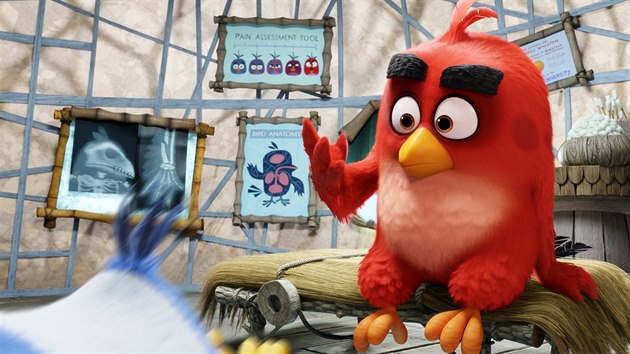 Z filmovch Angry Birds