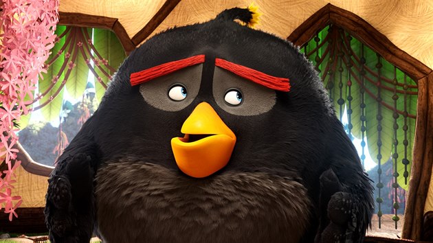 Z filmovch Angry Birds