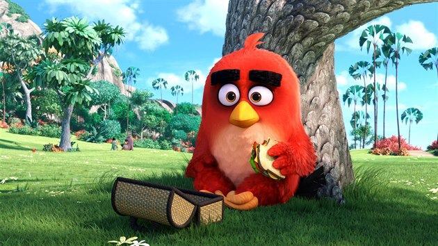 Z filmovch Angry Birds