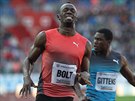 V CLI STOVKY. Jamajsk sprinter Usain Bolt na mtinku Zlat tretra.