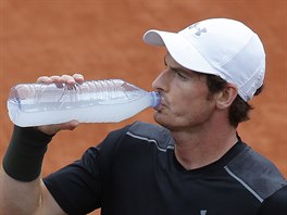 Andy Murray se oberstvuje v duelu s Radkem tpnkem.