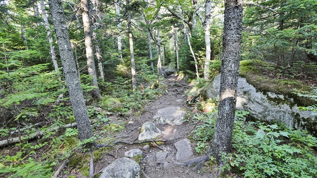 Helon Heylor Trail je poslednm sekem Apalask stezky.