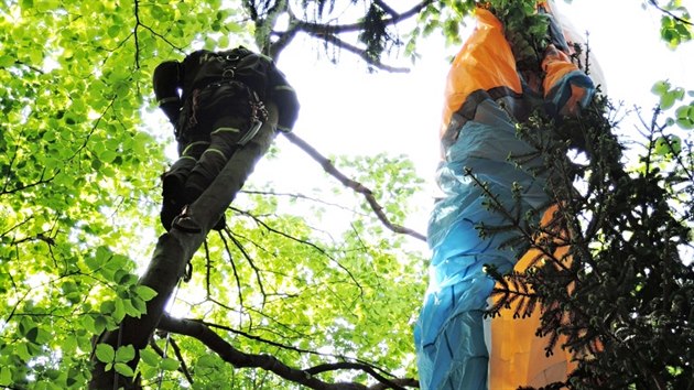 Paraglidista na Kozkov uvzl na strom. Zachrnit ho museli hasii.