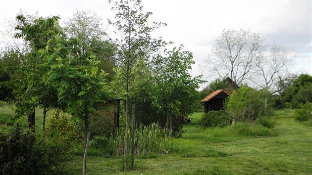 Stvajcch dvacet ar zatravnnho pozemku s kei a stromy je certifikovno jako Ukzkov prodn zahrada.