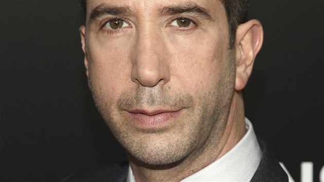 David Schwimmer (New York, 23. kvtna 2016)