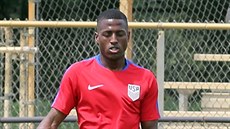STOUPAJÍCÍ KARIÉRA. Necelý rok po odchodu ze Sparty debutoval Fabrice Picault v... STOUPAJÍCÍ KARIÉRA. Necelý rok po odchodu ze Sparty debutoval Fabrice Picault v...