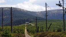 Cestou na Františkovu myslivnu Cestou na Františkovu myslivnu